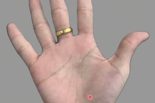 女人手相算命，从神秘命局到智慧指引-新乐天