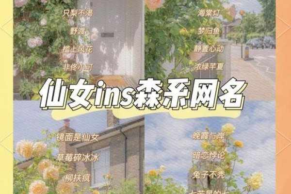 女生网名唯美，探索网络世界中的诗意与梦幻-新乐天