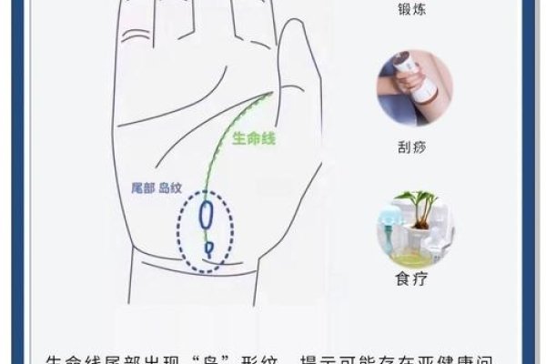 女性健康看掌纹，解锁女性独有的健康密码-新乐天