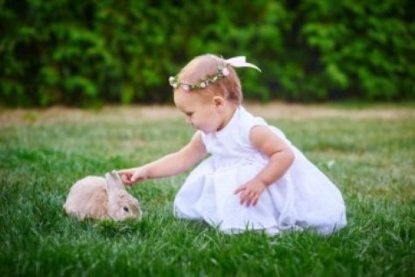 女孩可爱名字的魅力与选择-新乐天