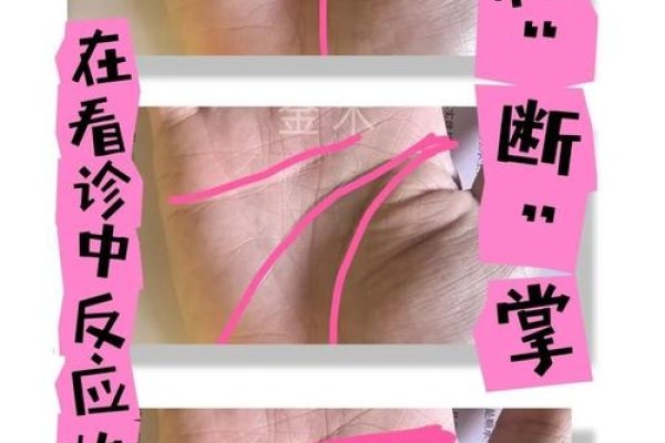 女性手软，传统相学与现代视角的交织解读-新乐天