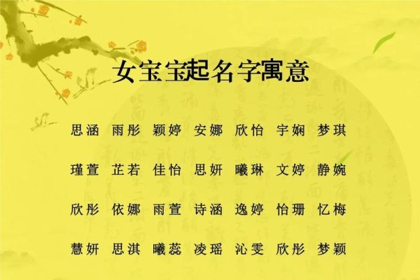 女宝宝取名字大全,美好寓意与精选建议-新乐天