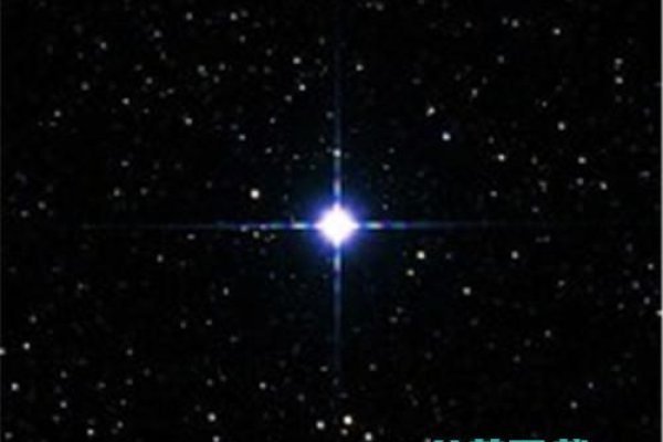 牛郎星是什么星座-新乐天