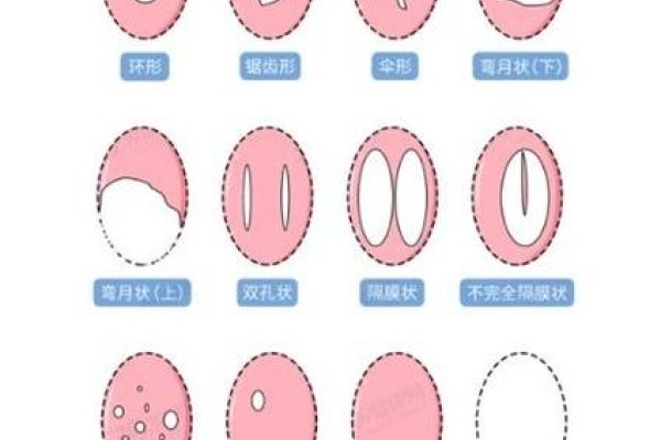 女性B型全覆盖，从生理到心理的全方位认知-新乐天