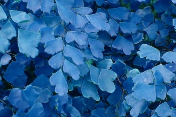 品色自由，让生活永远充满色彩-新乐天