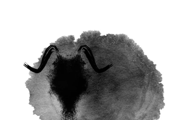 情不自禁的生肖之谜-新乐天