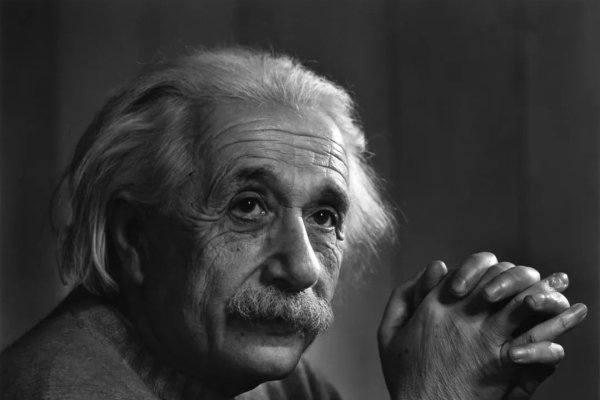 千夫所指，揭示背后的真相，并非特定动物象征-新乐天