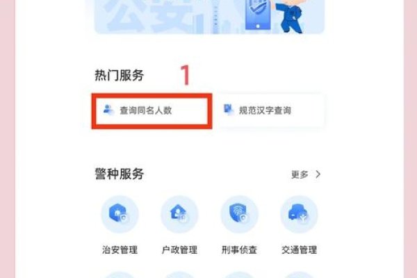全国重名查询系统,探索与应用-新乐天