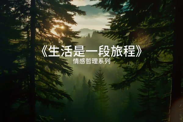 情感故事论坛，一段段温暖心灵的探索之旅-新乐天