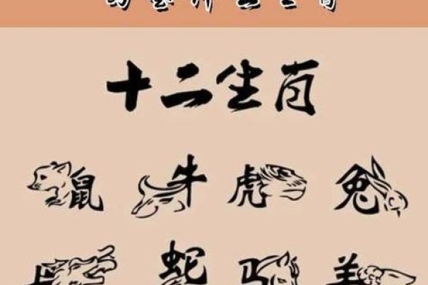 曲高和寡的生肖—独步天下的龙-新乐天