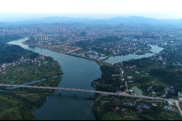 曲高和寡最佳生肖揭晓-新乐天