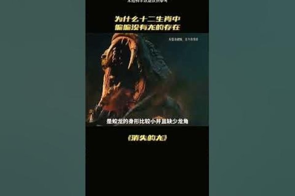 群龙无首与生肖之谜-新乐天