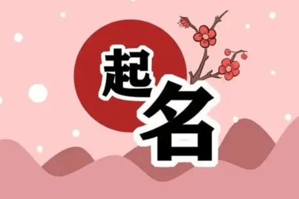 取名字大全免费，为您的宝宝、宠物或品牌寻找完美名称-新乐天