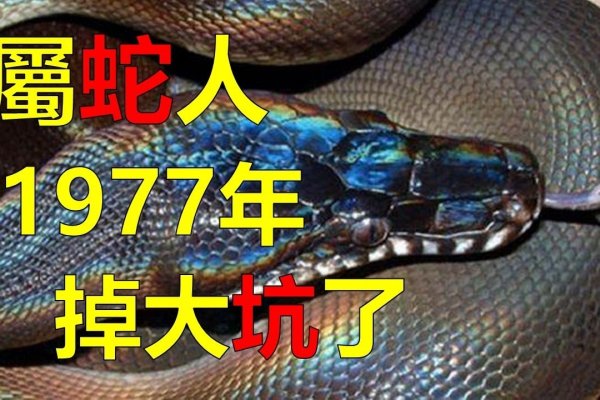 七七年属蛇四十七岁遭遇人生小灾-新乐天