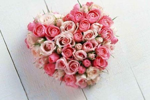 情人节送什么花，浪漫花语，传递深情-新乐天