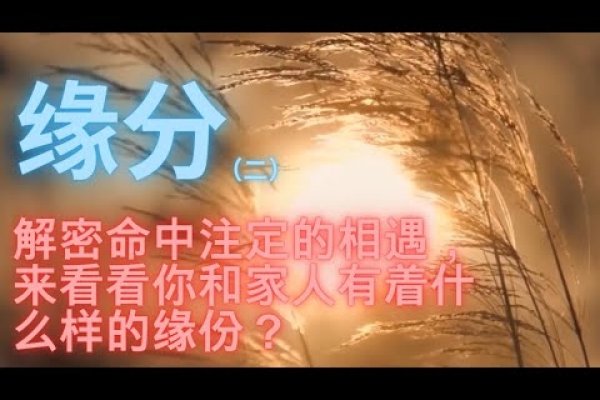前世缘分深重之人表现-新乐天