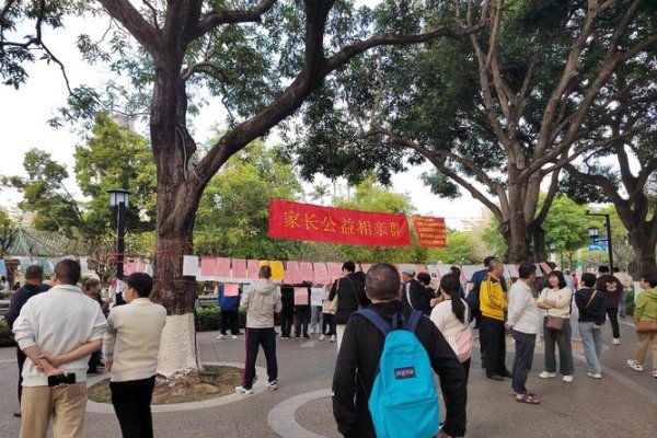 青岛中山公园相亲会的浪漫邂逅-新乐天