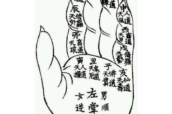 七政四余推命全书，古代命理学的珍贵宝典-新乐天