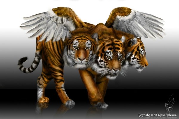 如虎添翼的生肖—寅虎-新乐天