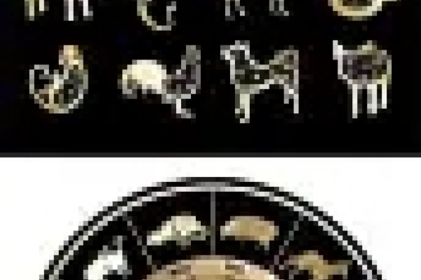 如日中天映生肖—探寻生肖中的辉煌象征-新乐天