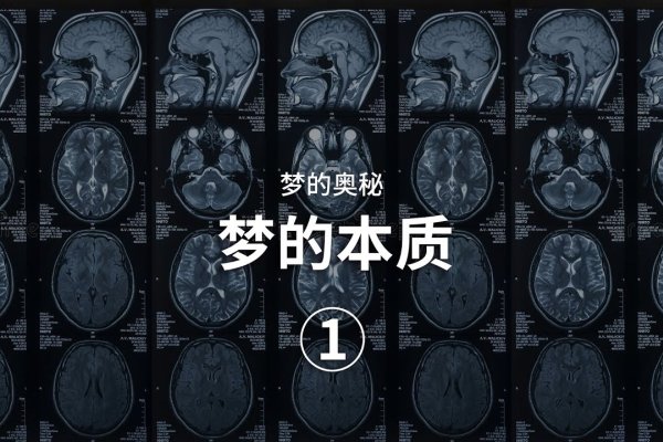 人为什么会做梦？那到底是什么让大脑开启这一奇妙的梦境之旅呢？-新乐天