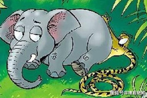 人心不足蛇吞象与生肖之探索-新乐天