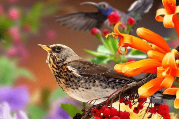 如沐春风的生肖之谜-新乐天