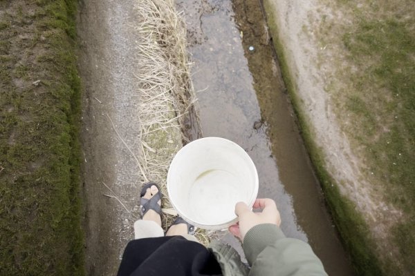 如鱼得水生肖探秘-新乐天