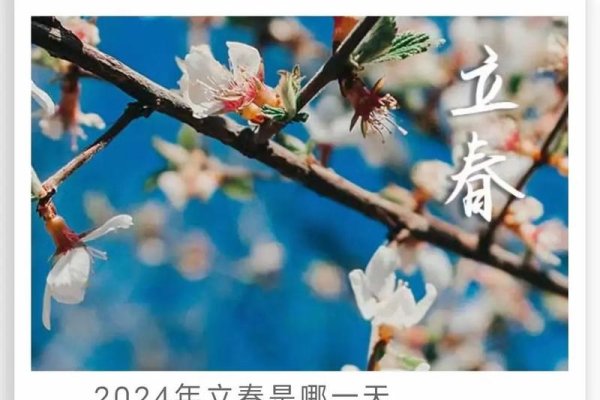 如何躲春以应对2024年-新乐天