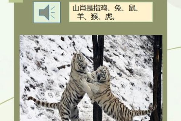 日暮西山与生肖之谜-新乐天