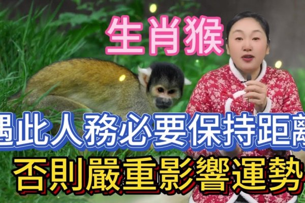 随波逐流是猴生肖-新乐天