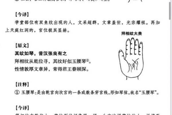 手背痣相图解，探索古老智慧与现代解读-新乐天