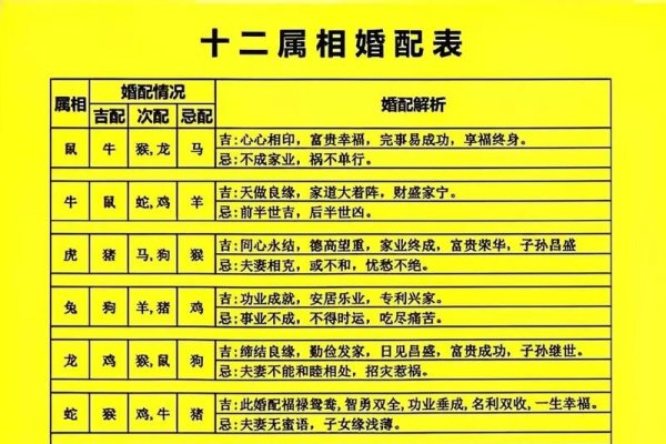 十二生肖最佳配对解析-新乐天