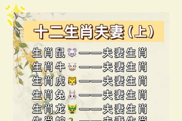 十二生肖星座配对指南-新乐天