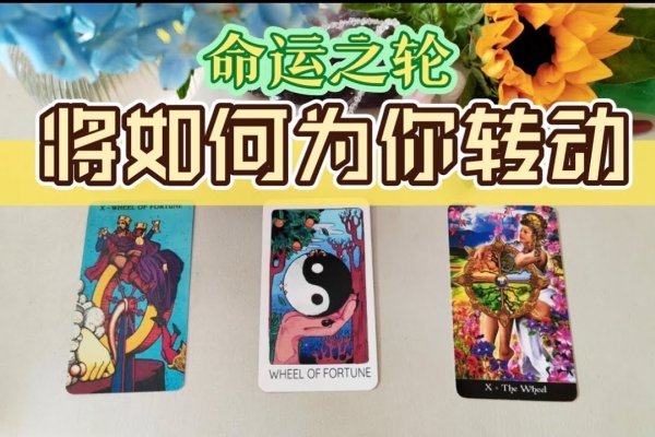 十二生肖八字算命，探寻命运之轮的秘密-新乐天