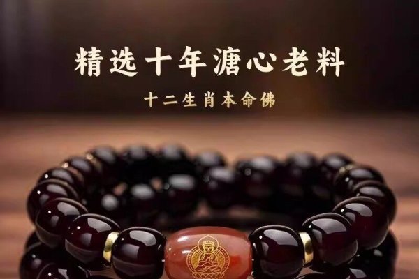 十二生肖看命运,古老智慧与现代生活的奇妙融合-新乐天