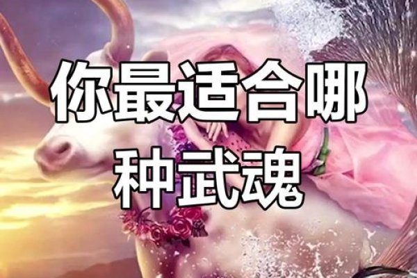 十二星座配对武魂,探索星象与武魂的奇妙缘分-新乐天
