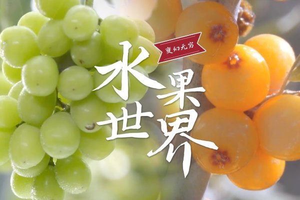 水果名称大全,解锁自然界的甜蜜宝藏-新乐天