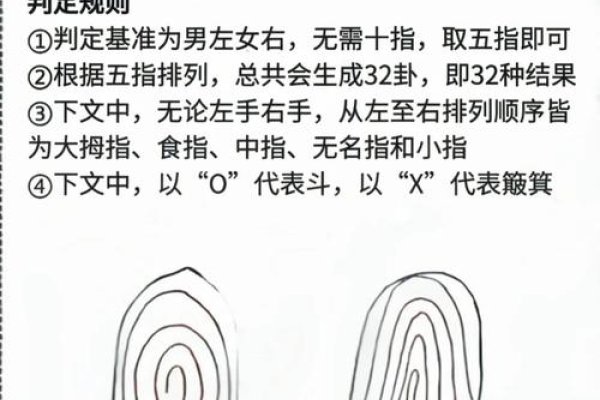 十个簸箕的男性命运多面-新乐天