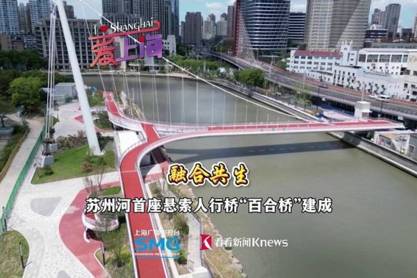 上海同城交友网，构建都市新社交的桥梁-新乐天