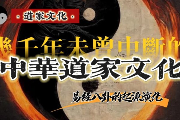 世界华人周易协会，探寻中华文化的瑰宝-新乐天