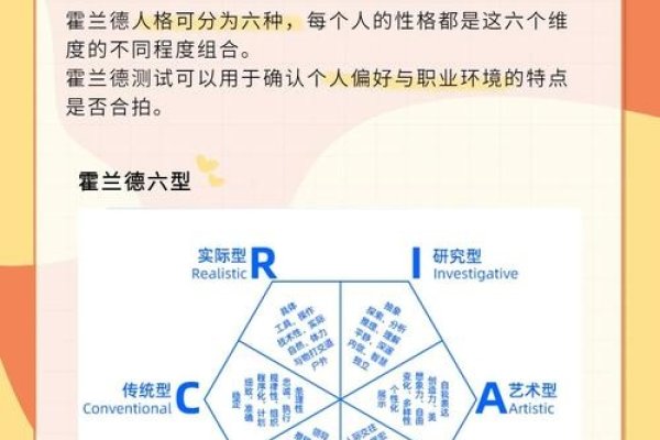 社交能力测试，解锁职场与个人魅力密码-新乐天