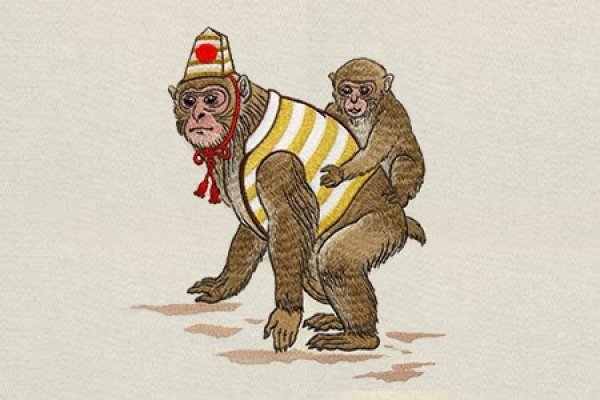 四面八方所指的生肖—猴-新乐天