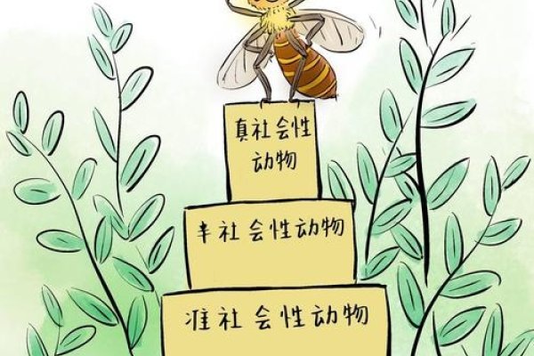 手忙脚乱，与动物共舞—揭秘忙碌的蜜蜂世界-新乐天