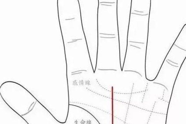 生命线长短与寿命无直接关联-新乐天