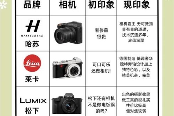 数码相机品牌，从专业到日常的影像记录者-新乐天