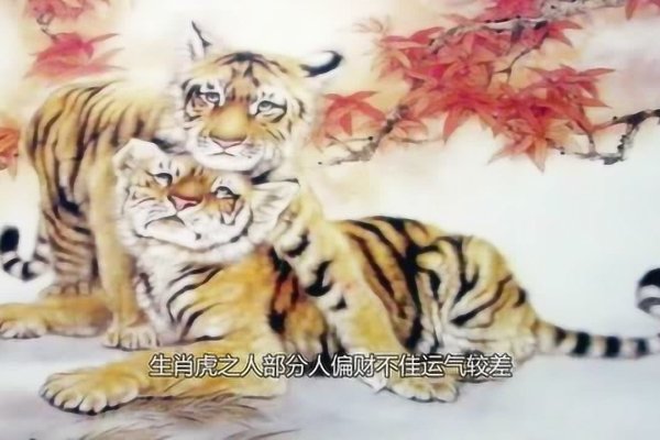 三日三省生肖探秘-新乐天