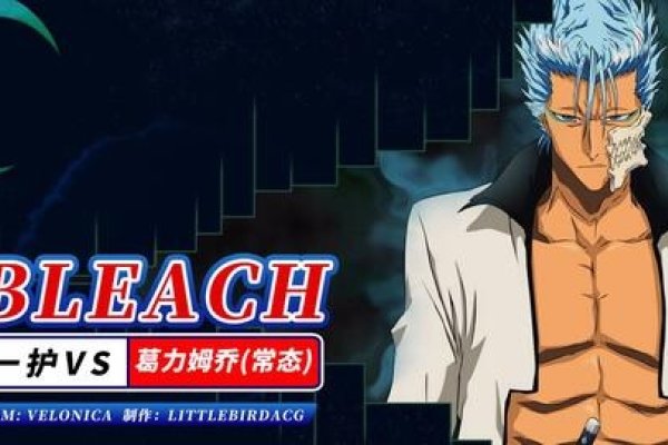 死神十刃，灵魂的审判者-新乐天