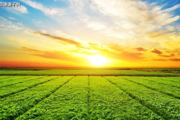 水天一色映生肖—探寻神秘符号背后的生肖传奇-新乐天