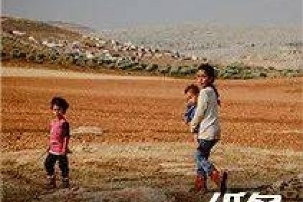 三五成群指的是生肖间的互动与聚集-新乐天